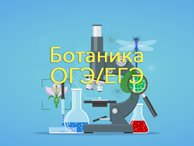 Ботаника