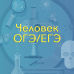 Человек