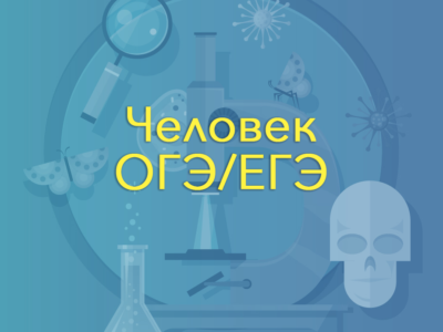 Человек