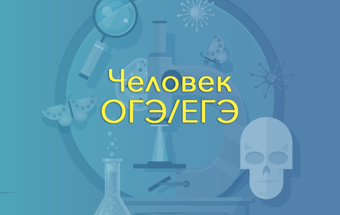 Человек