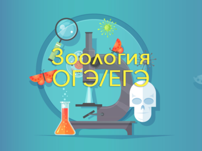 Зоология
