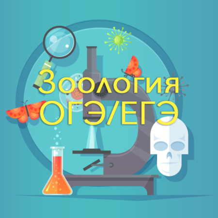 Зоология