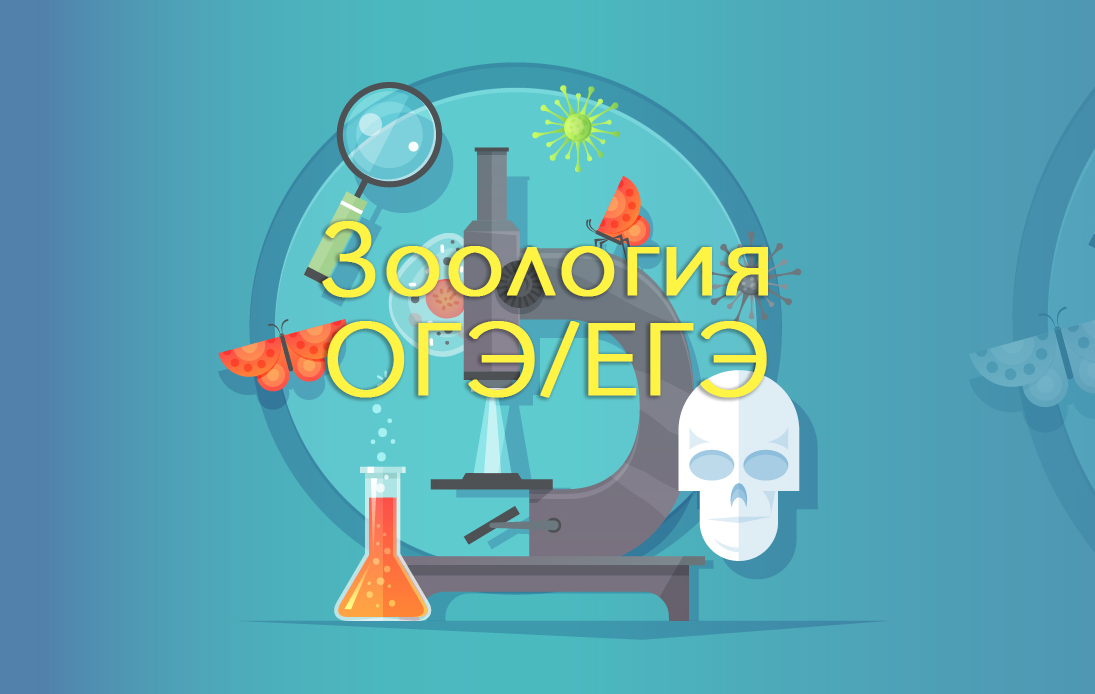 зоология